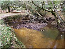 SU2804 : Natural meander in canalised Highland Water, New Forest by Jim Champion