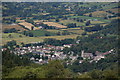 Rostrevor (elevated view)