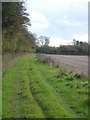 Footpath next to Hill Copse