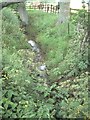 Tributary of West Beck