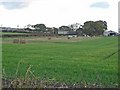 Dropswell Farm, near Trimdon