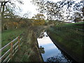 Water Channel by Spout House