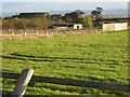 NZ4632 : Lambs House Farm, near Elwick by Oliver Dixon