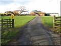 NZ4633 : North Urn Farm, near Elwick by Oliver Dixon