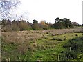 Annaghbeg Townland