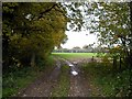 Track leading off Winchester Road