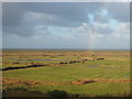 Looking north over Blakeney Freshes from Friary Hills