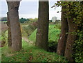 New Bridge, Burstwick