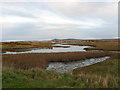 Nature Reserve, Kingston