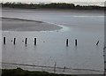 Sand bank on the Mersey