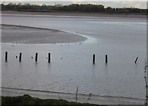SJ5283 : Sand bank on the Mersey by John S Turner