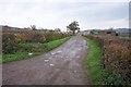 Entrance to Ash Farm near Icomb