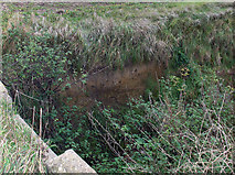 SE9817 : Field Drain near Horkstow Grange by David Wright