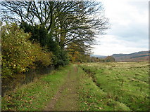 SE1046 : Track below Ilkley Moor by Chris Heaton