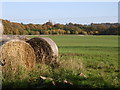 Bales and woods