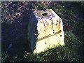 TF0427 : Staddle stone base at Rookery Farm by Brian Green