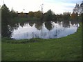 A pond near the A10/A142 roundabout