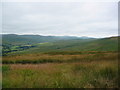 Ewes Valley from Whita