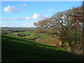 Looking towards Modbury