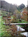 Bottom of the gardens, Chalford Bottom