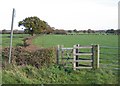 Footpath towards the River Dee