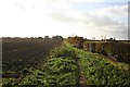 Footpath to Skellingthorpe Moor