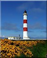 NH9487 : Tarbat Ness Lighthouse by Kirsty Jarman