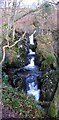 Waterfall close to Rowardennan Lodge