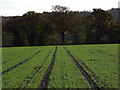 Farmland, Bentley