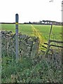 Footpath to Newlands Grange