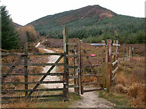 NR9846 : Footpath leading into North Glen Sannox by Colin Chambers