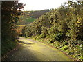 Driveway to Deerhill and Stiles Meadow