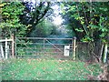 Gate on Plas Maen Drive