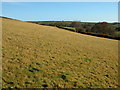 Farmland north of Lower Narracott Farm