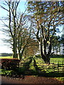 Tree Lined Track Near Damhill Farm