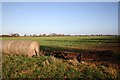 Horbling Fen