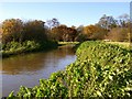 South Water - the other side of the stile