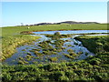 Flooding Near Crookboat