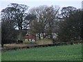 House in the trees