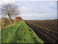 Ploughed field