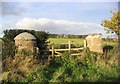 Gate and stone pillars