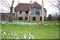 Crocuses at the Old Granary.