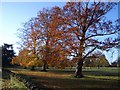 Parkland at Turvey House, Turvey