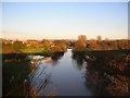 Derwent in flood