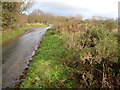 Lane across Tod Moor