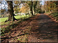 Road past Clanna Lodge