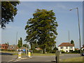 SK2816 : High Cross Bank Roundabout at Linton Heath by Sue Adair