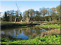 Pool near Vale Royal Locks