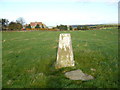 High Waupley Farm trig