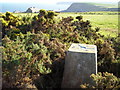 Hinderwell Beacon trig